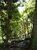 Doi Inthanon 007.jpg